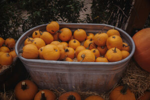 Orange pumpkins piled in a galvanized metal tub surrounded by hay and additional pumpkins in an autumn display.